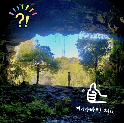 [크기변환]KakaoTalk_20200514_160106578.jpg