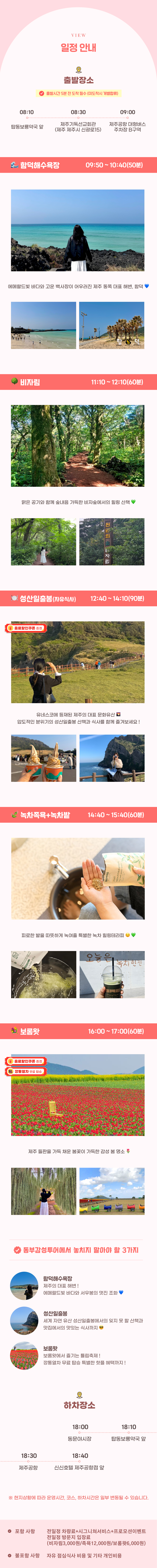 06 View_1000x10000px_26봄동감