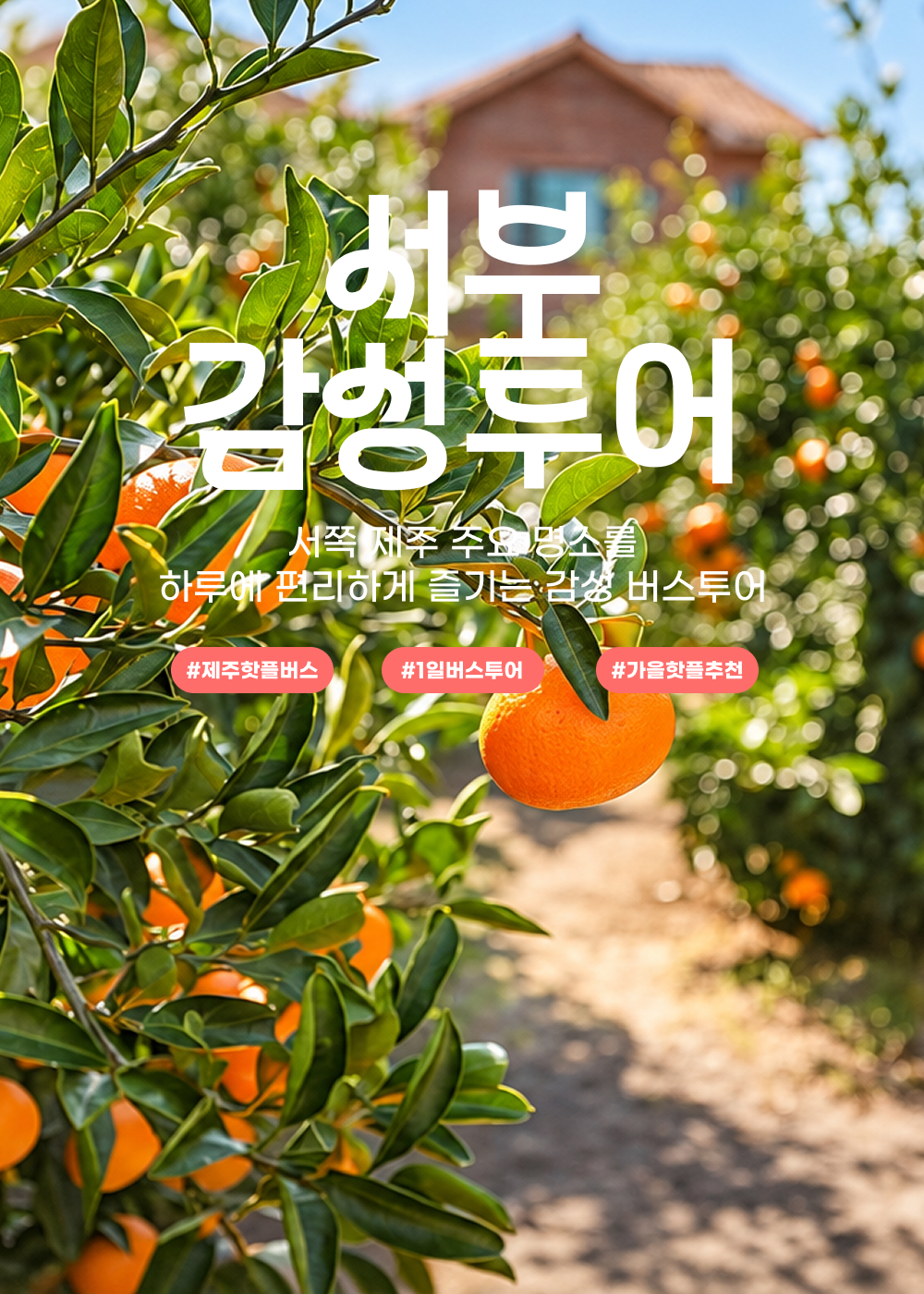03 Landing_1000x1400px-26가을-서감